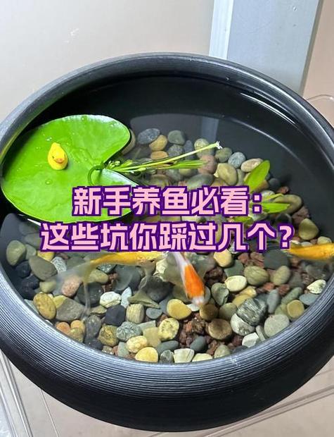 自来水一股84味能喝吗图标