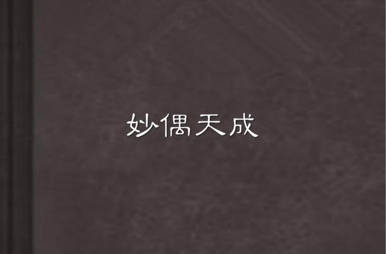 妙偶天成 小说txt
