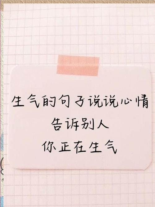 小字条官网