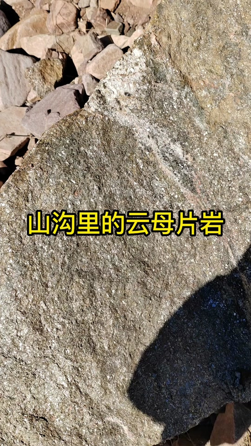有云母的地方会有金子吗