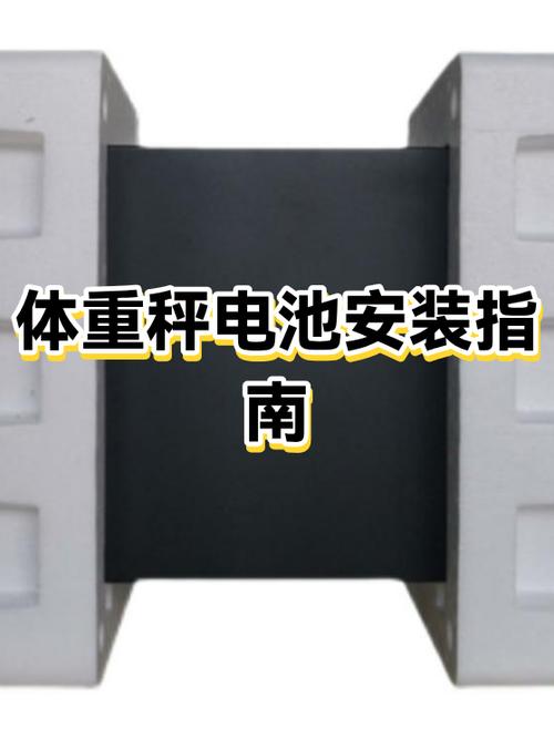人体秤一般是几号电池