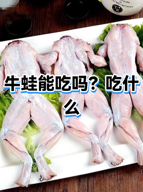 牛蛙可以吃吗图标