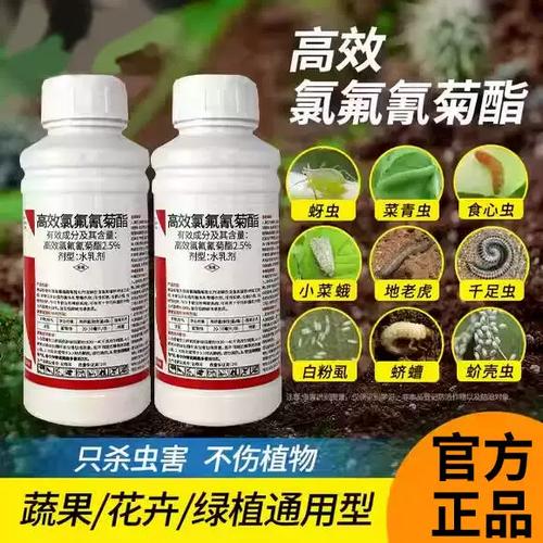氯氟氰菊酯能杀哪些虫截图