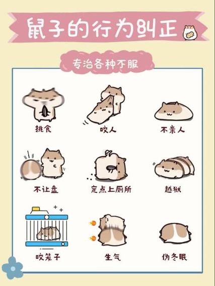 怎么让仓鼠不挑食