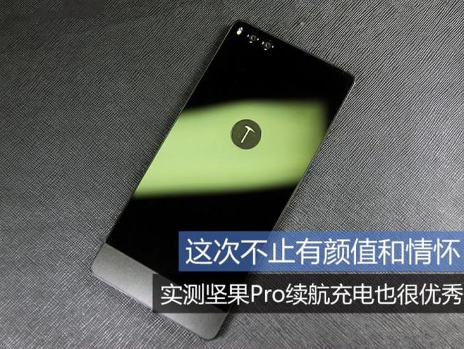 坚果pro充电红灯一直闪