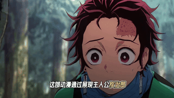 全球动漫播放量