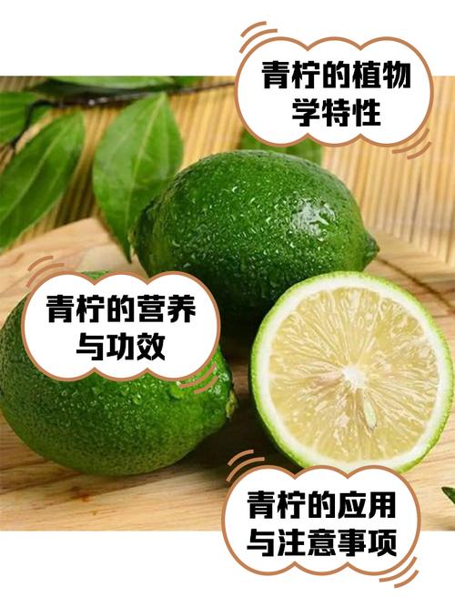 青柠网络科技有限公司截图