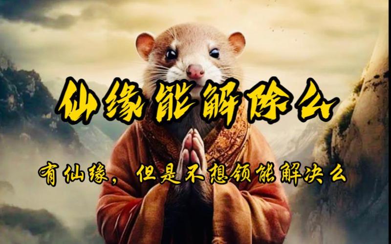 不想领仙怎么办