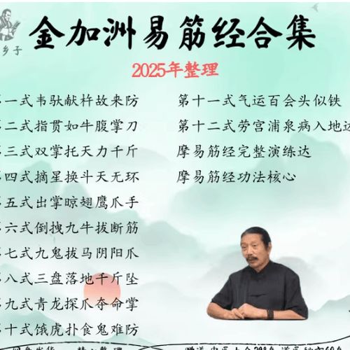 易筋经全国冠军视频