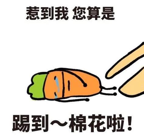 给萝卜小表情包截图