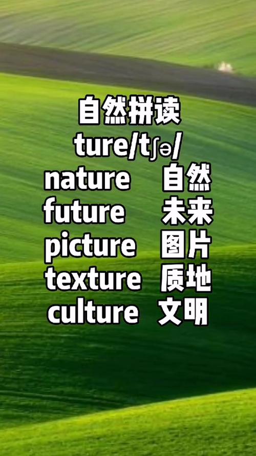 ture正确发音图标