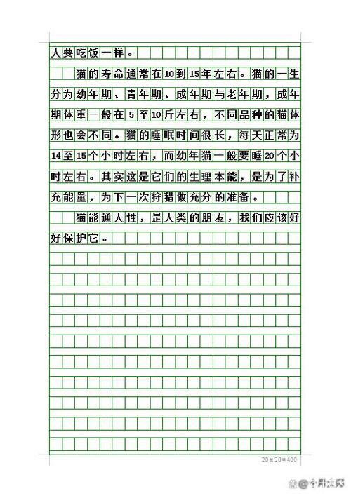 猫老师作文课视频