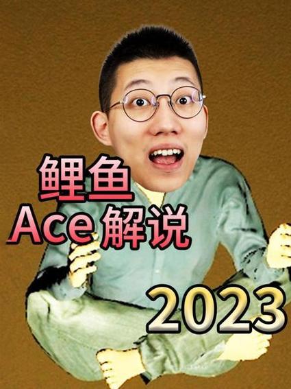 鲤鱼视频游戏解说