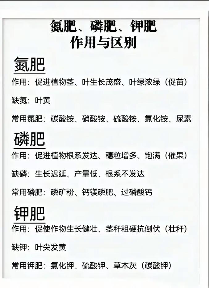 肥料为什么不能提供能量缩略图