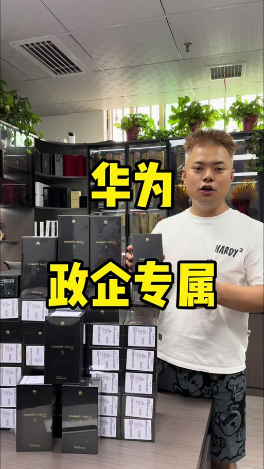 手机政企版是什么意思截图