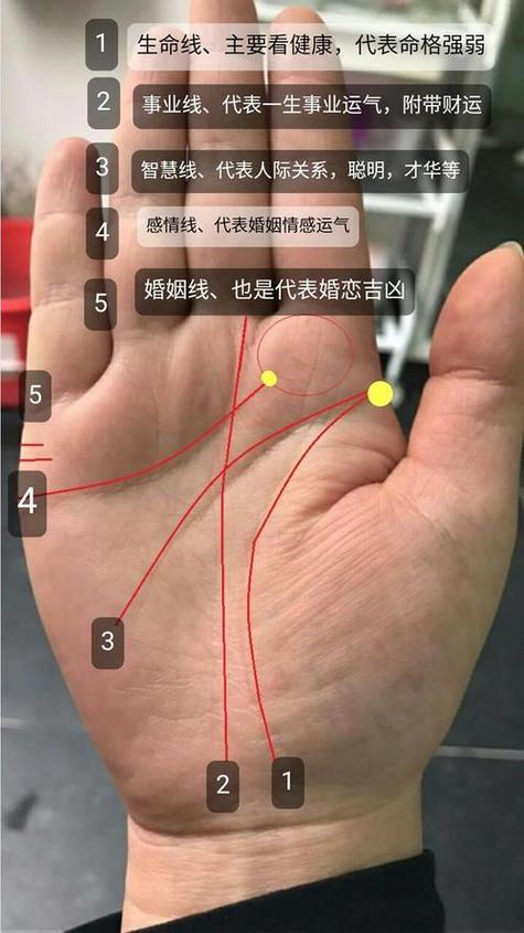女生手相