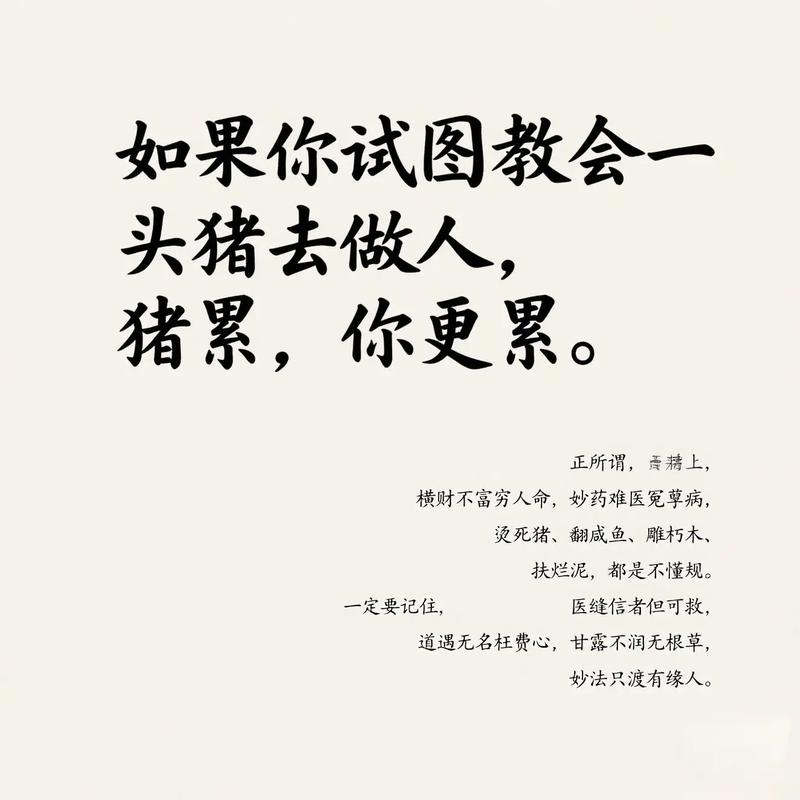 杀猪的千古名句图标