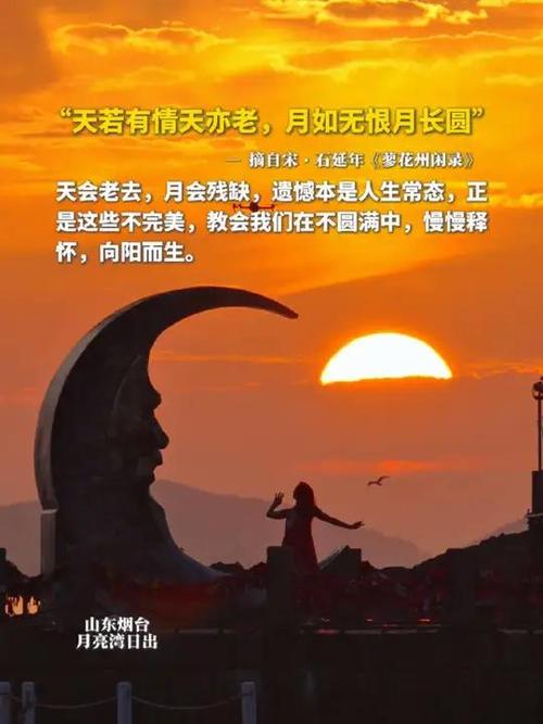 月若无恨月长圆截图