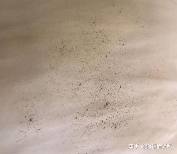 枕头长霉斑还能睡吗截图