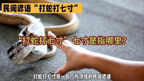 蛇打七寸最经典十句话