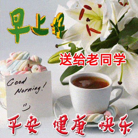 怎么回复天天问候你的人