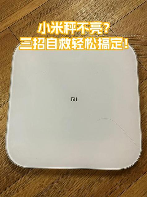 小米电子秤出现L0是什么意思图标