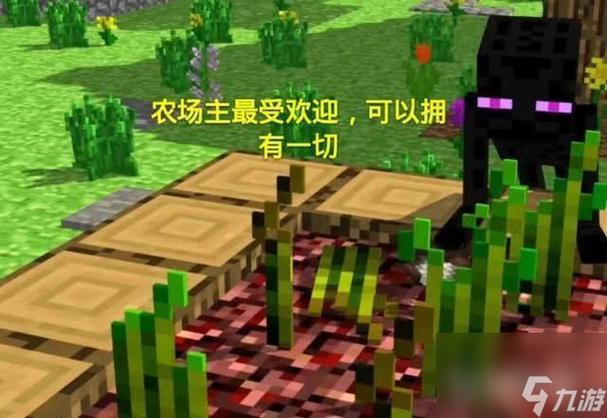 我的世界失落世界转职在哪