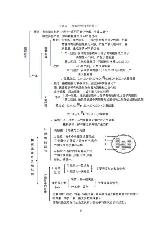 细胞呼吸思维导图高中必修一图标