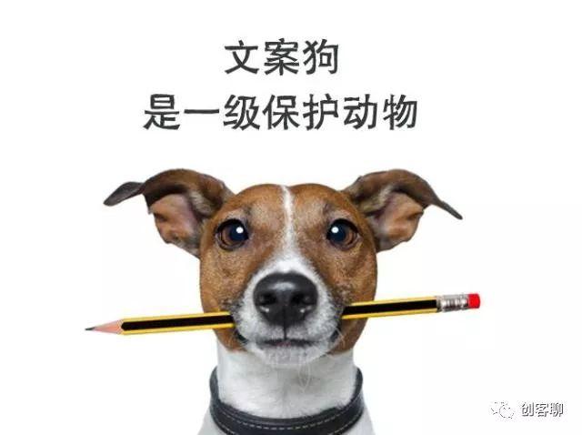 朋友圈卖狗的广告词缩略图