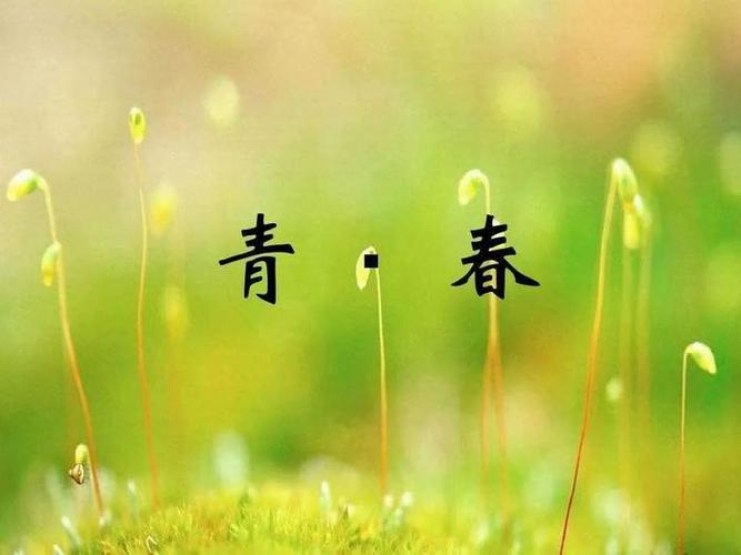 十八岁女生乳房多大算正常缩略图