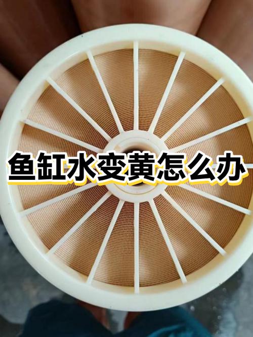 鱼缸水发黄浑浊怎么处理好