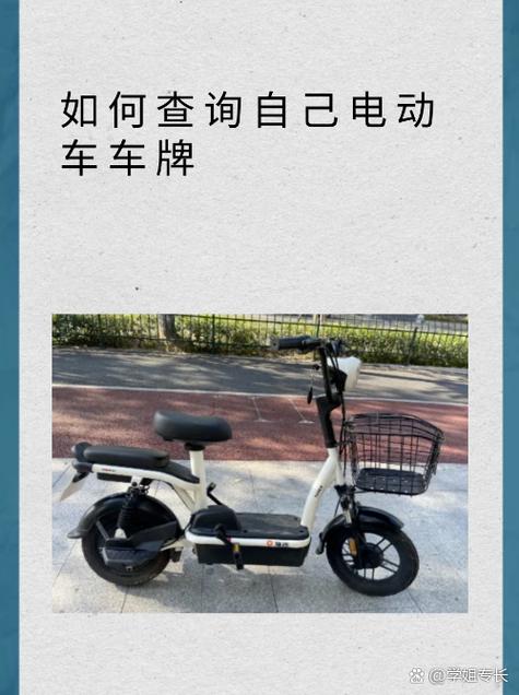 怎么查询自己电动车型号图标