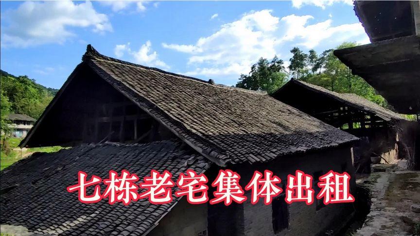 回村修缮老宅的田园小说