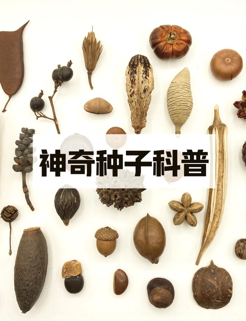 我的世界1.12.2超富种子截图