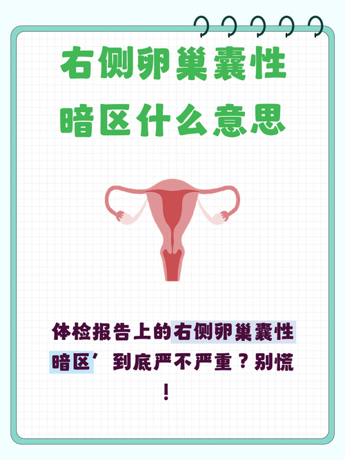 囊性暗区是什么意思