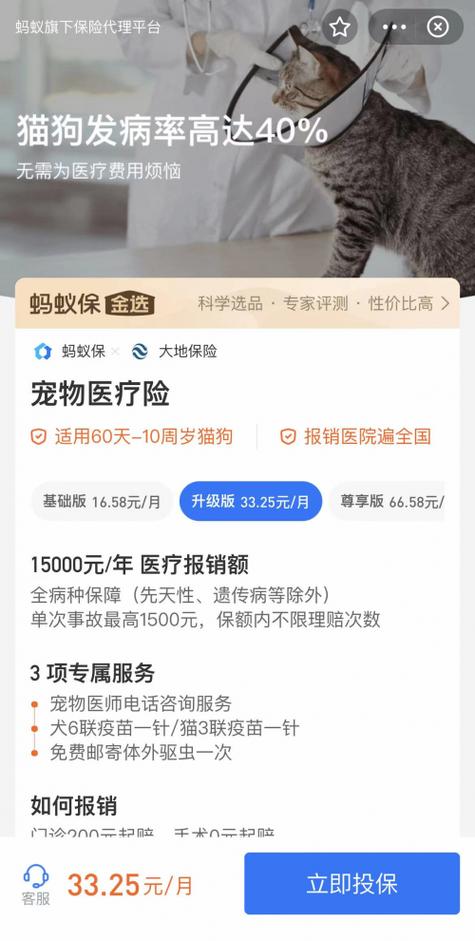 蚂蚁平台接单可靠吗图标