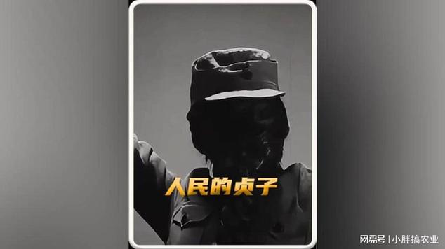 《人民的贞子》百度百科截图