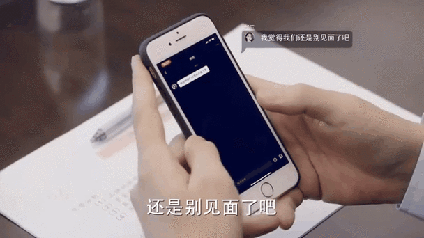 完美总是去开会去是哪几集