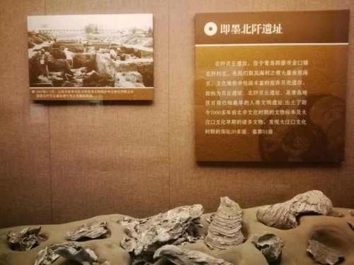 word表格内容消失图标