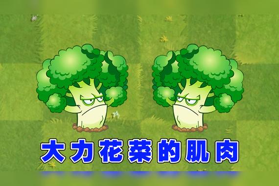 大力花菜大招展示