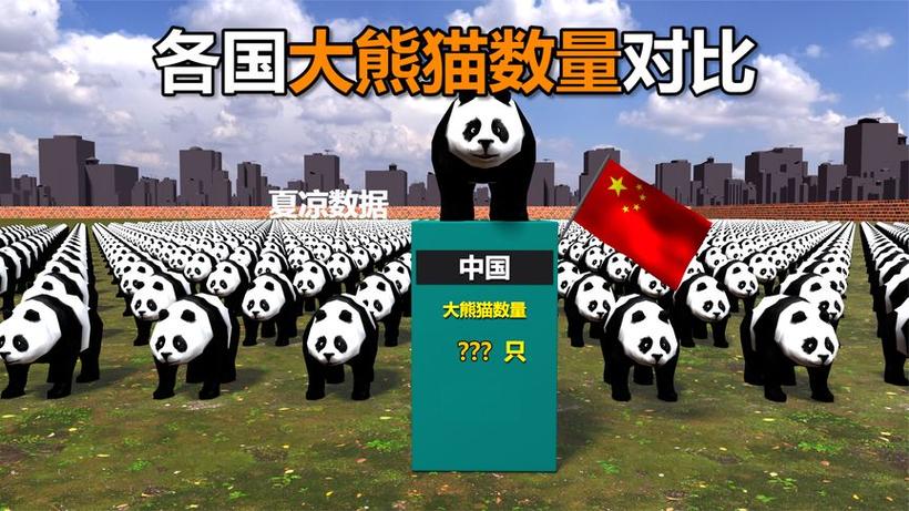 大熊猫的数量