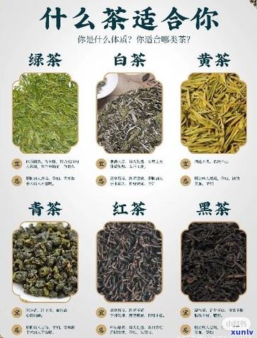 绿茶 种类
