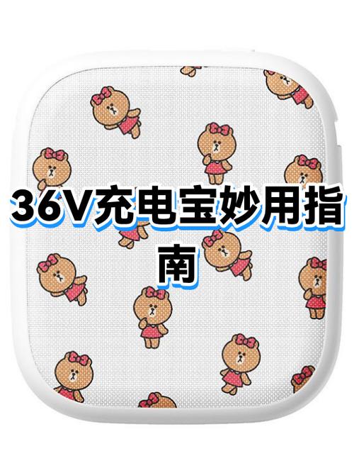 电瓶车充电两个灯闪烁