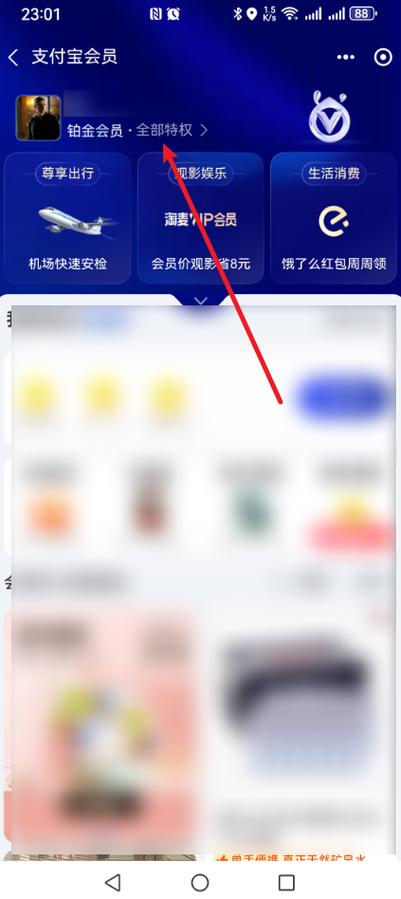 支付宝右下角打v是什么意思