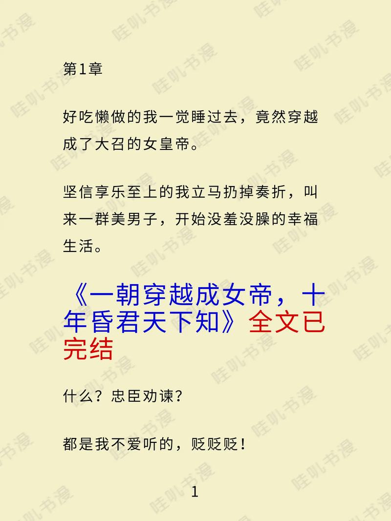穿越成皇储巴西的小说