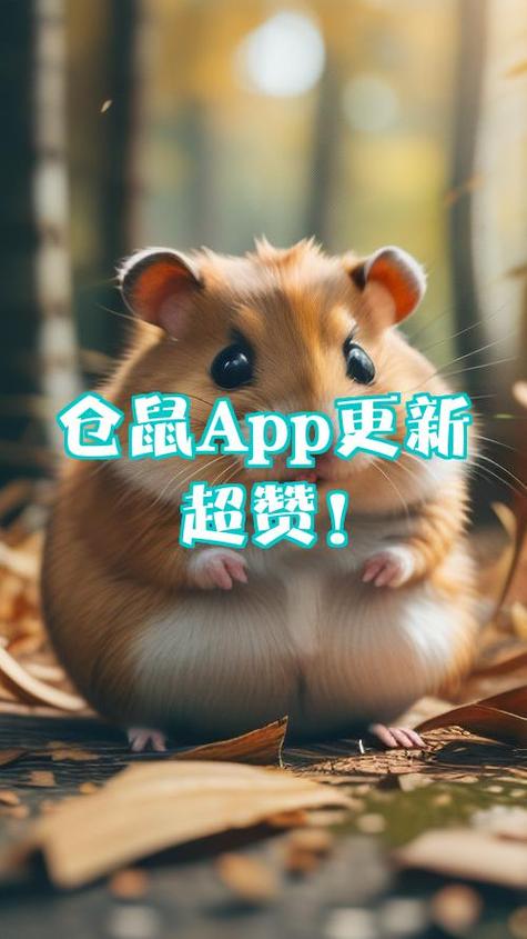仓鼠网app下载截图
