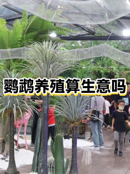养鹦鹉赚钱吗利润大不大图标