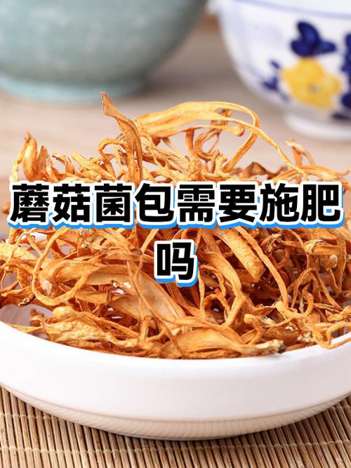 蘑菇农场怎么施肥缩略图