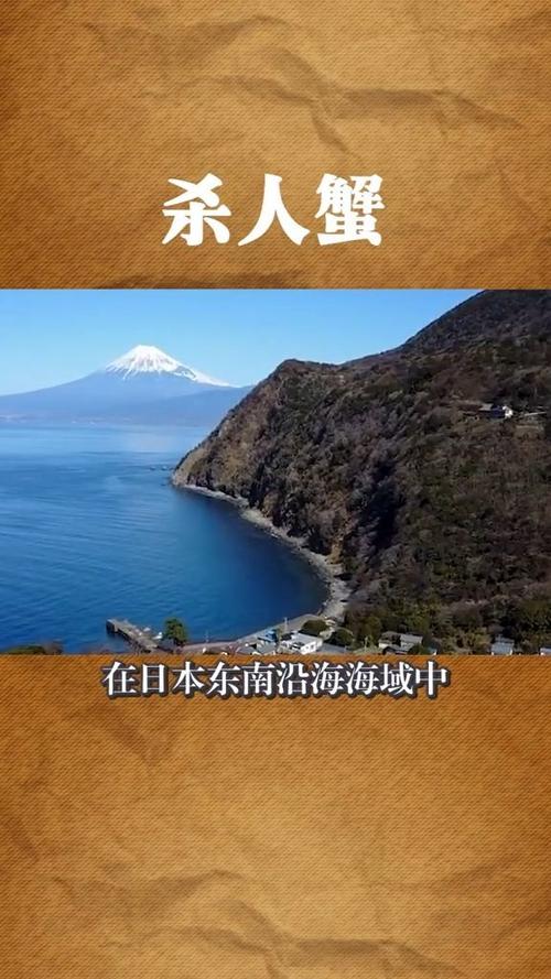 螃蟹战斗力排行