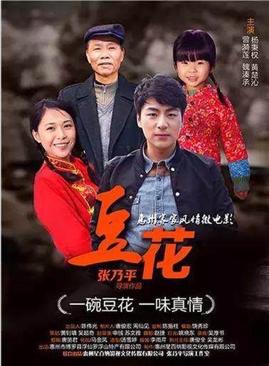 豆花在线观看免费高清电视剧荣耀的